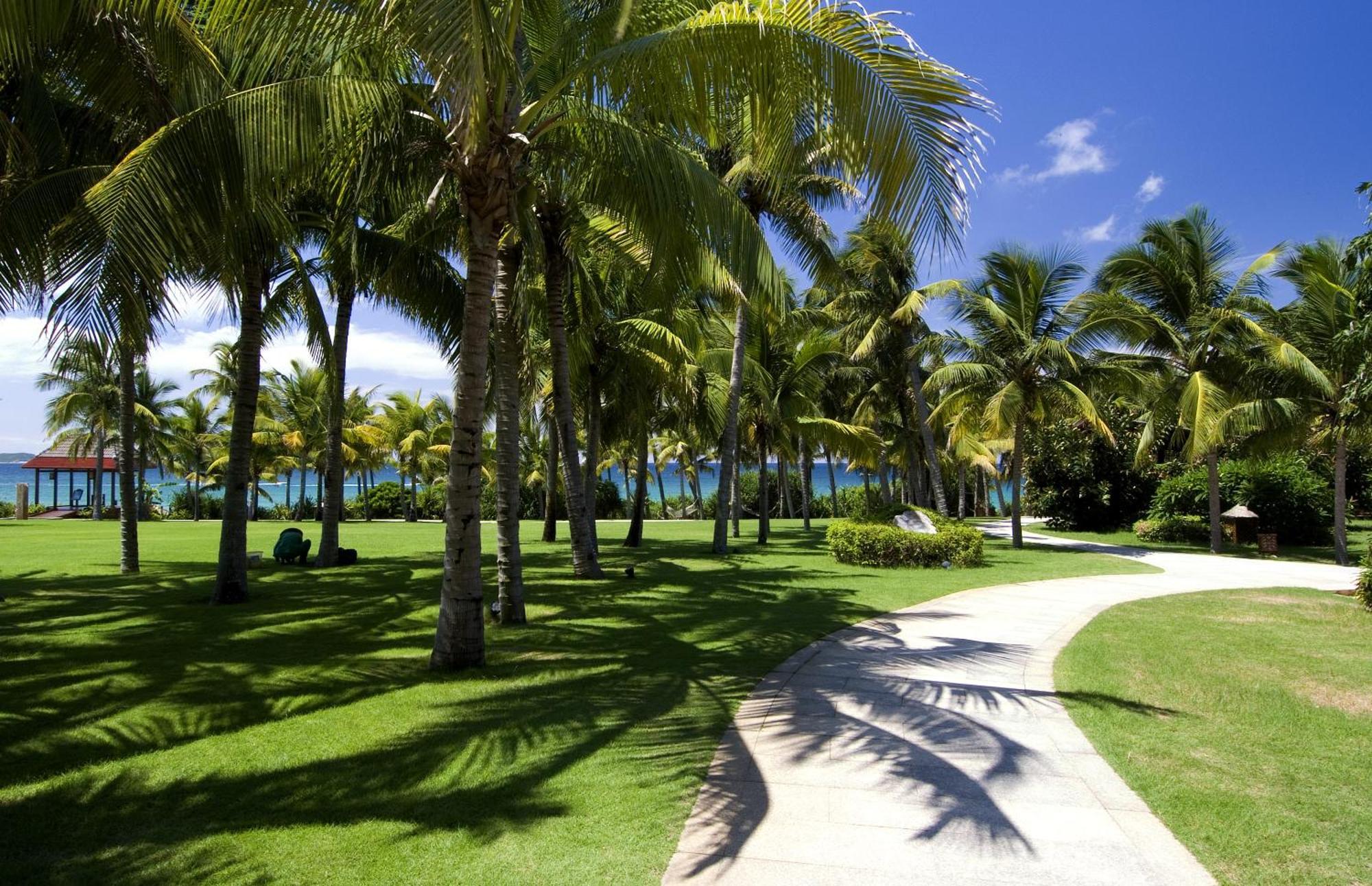 Yalong Bay Mangrove Tree Resort Σανυά Εξωτερικό φωτογραφία